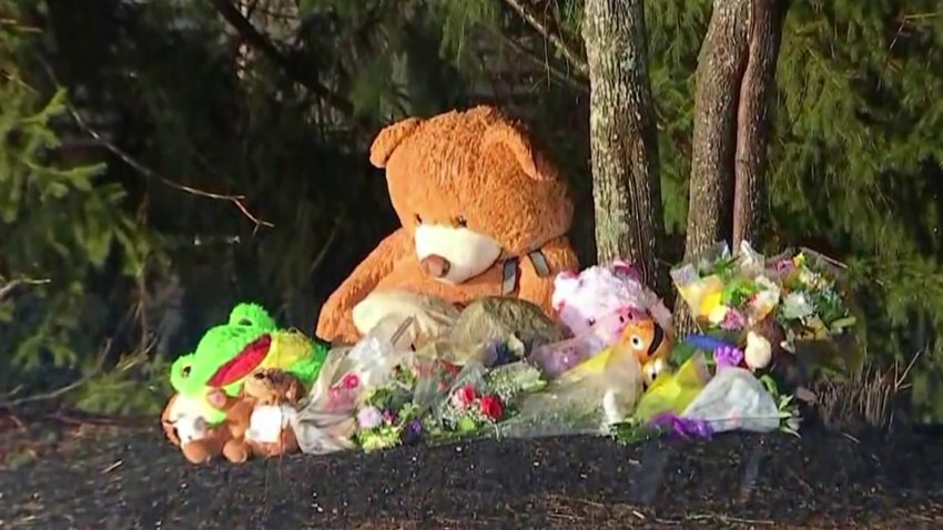 Duxbury Mother Facing Murder Charges in Deaths of 2 Children