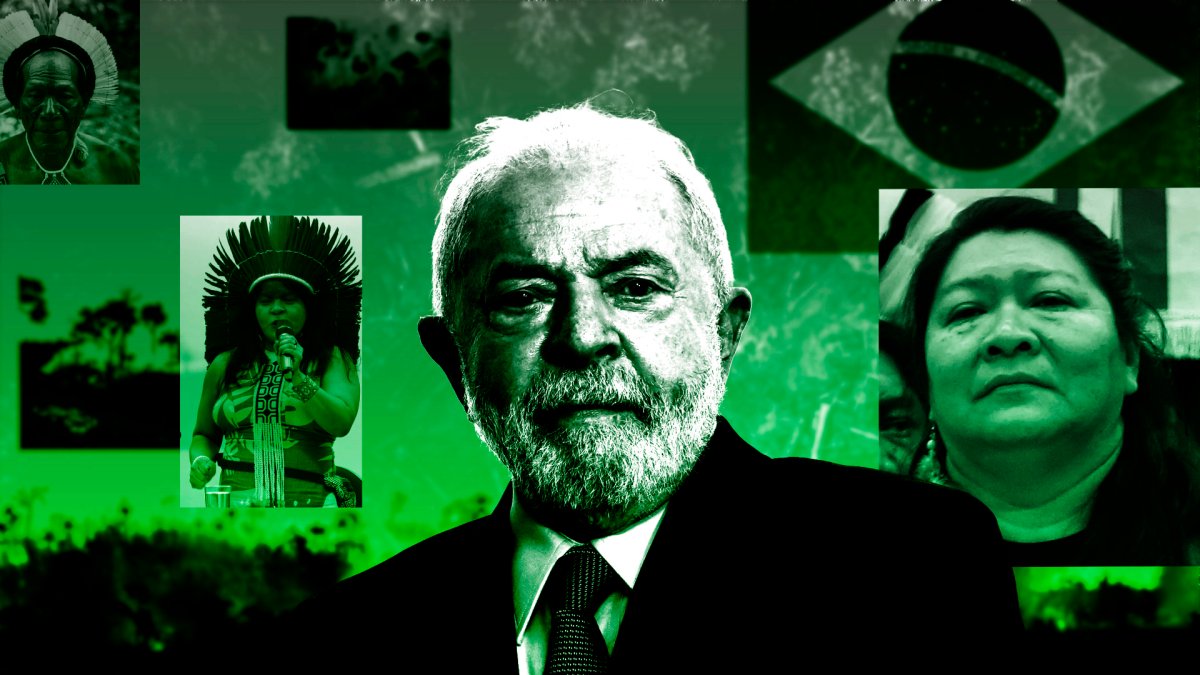 Lula inverte curso de Bolsonaro e protege a Amazônia – NECN