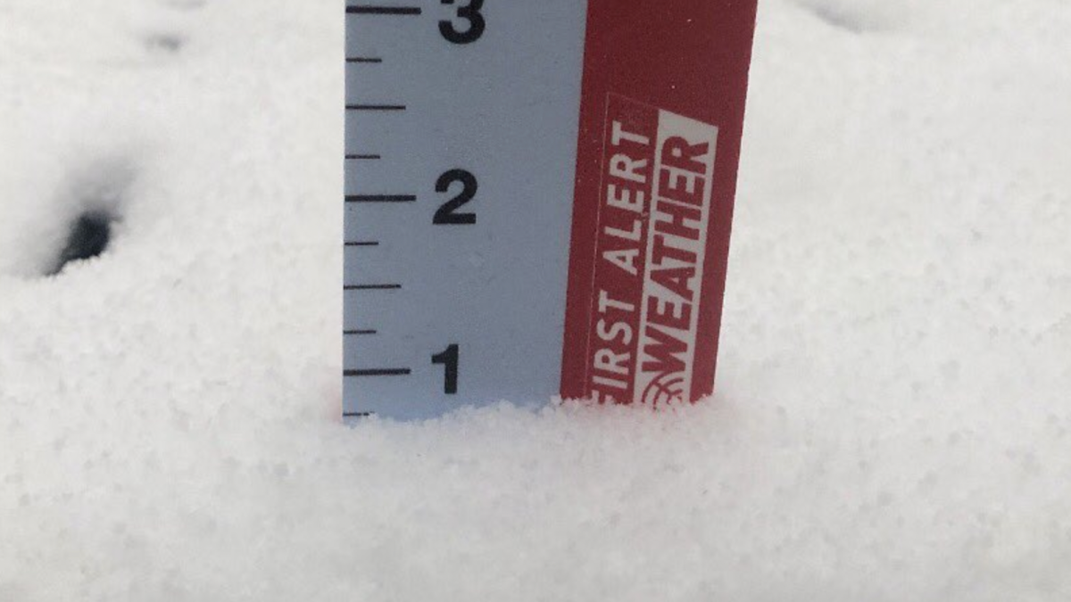 The snow fell