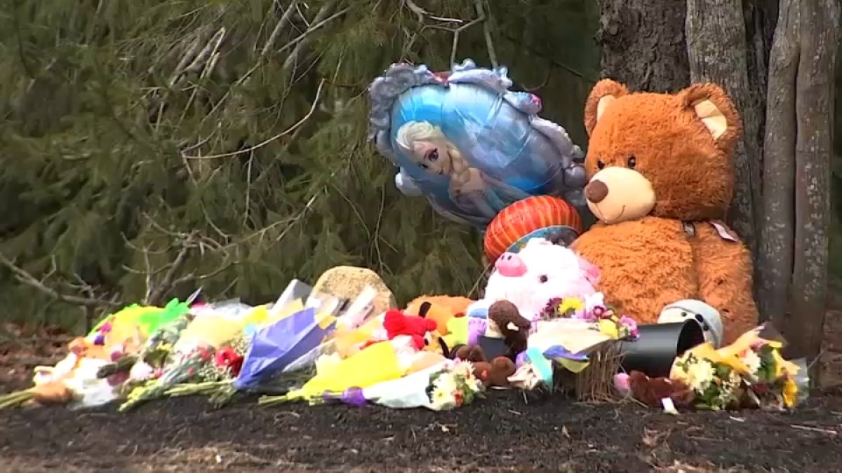 Duxbury MA Mom Lindsay Clancy Kills Children, Faces Murder Charges