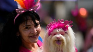 A woman poses for a photo with her pet during the "Blocao" dog carnival parade, in Rio de Janeiro
