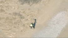 An aerial view of the seal on Swampscott's Phillips Beach Tuesday, Feb. 14, 2023.