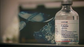 A vial of the animal sedative xylazine, which is commonly known as "tranq." The image is overlayed with a spoon and needle, indicating drug use.