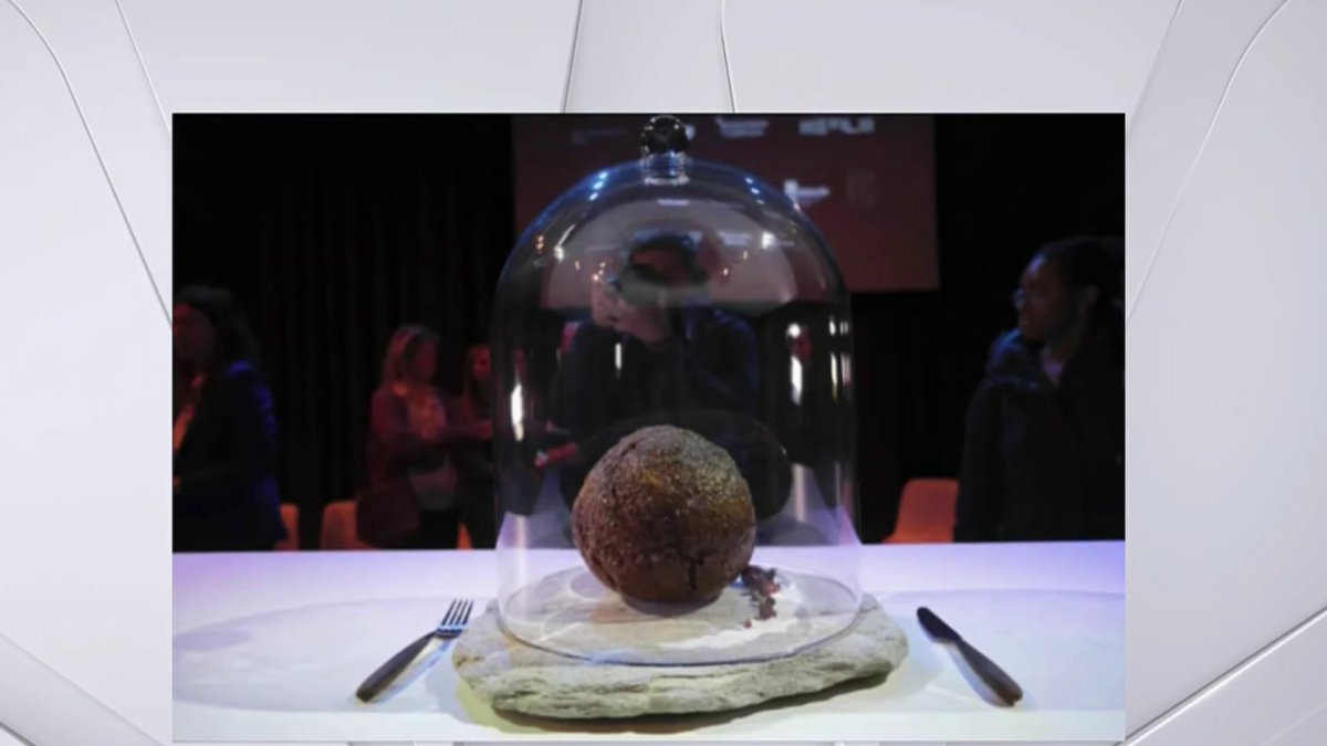 Startup Makes Meatball Out of LabGrown Mammoth Meat NBC Boston