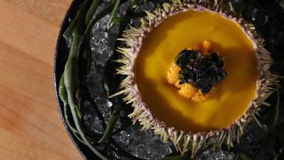 Sea urchin at Nightshade Noodle Bar.