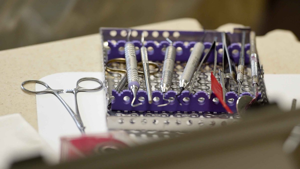 Prosecutors uncover search history of dentist accused of poisoning wife