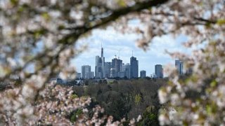 Skyscrapers of the city center can be seen from the Lohrberg in the north of Frankfurt. Photo: Arne Dedert/dpa (Photo by Arne Dedert/picture alliance via Getty Images)