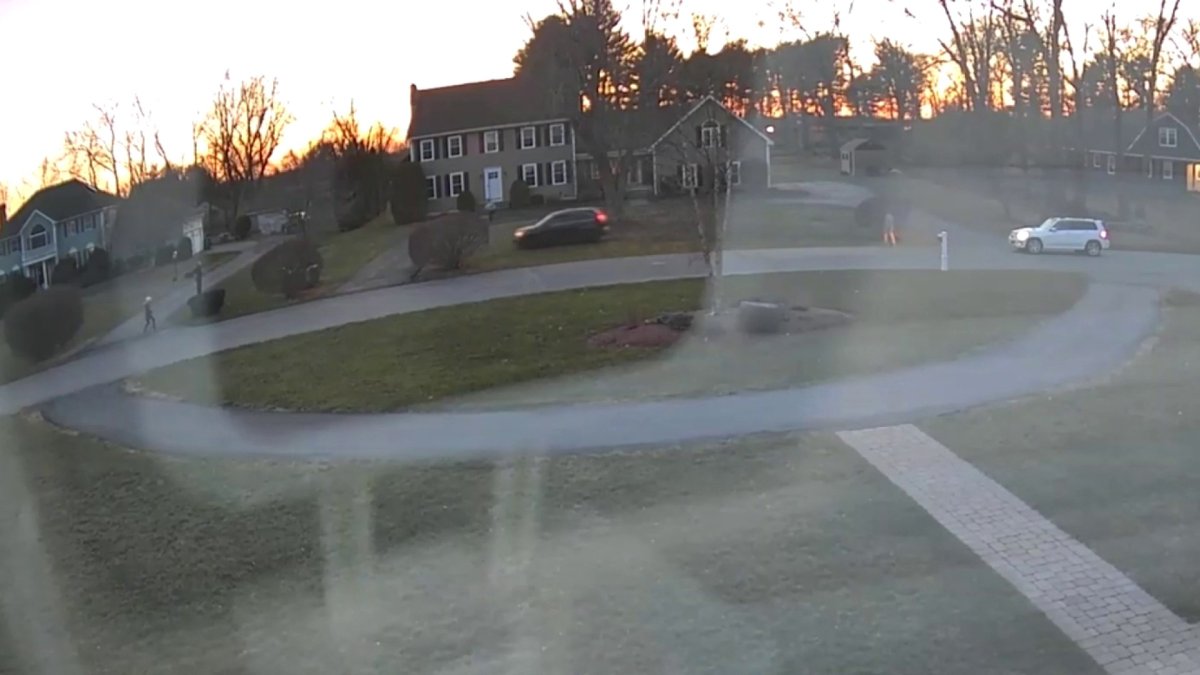 RAW VIDEO Tewksbury Yard Rampage Caught on Camera NBC Boston