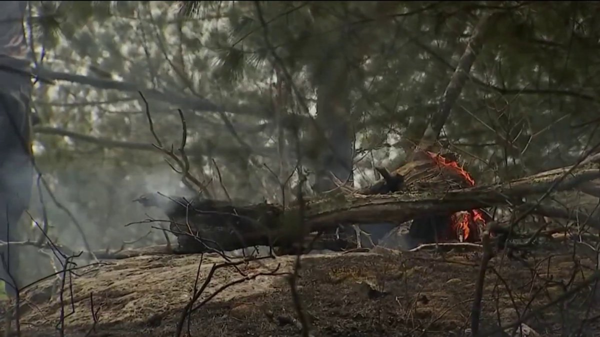 Brush Fires Spark Amid Dry, Windy Conditions in Mass. Friday NBC Boston