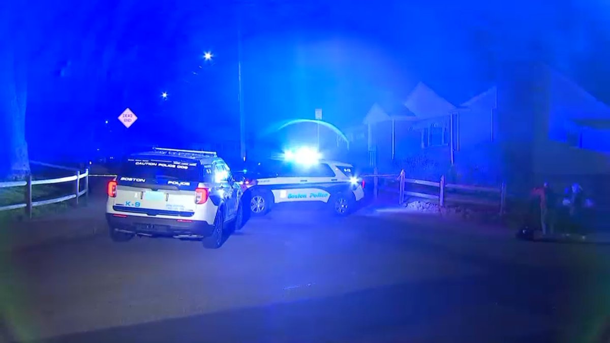 2 Men Dead in Hyde Park Shooting Identified NBC Boston