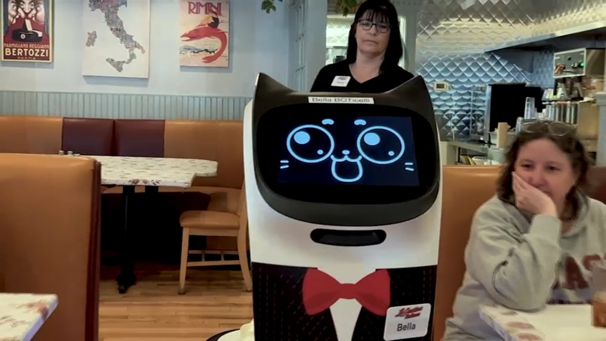 Il ristorante Framingham aggiunge una flotta di robot rivolti ai gatti ora per aiutare i clienti – NBC Boston