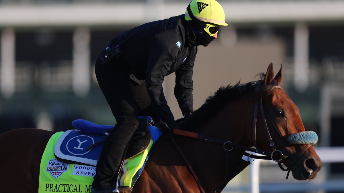 Practical Move Scratched From Kentucky Derby Due to Fever NBC 5