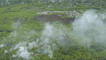 At bottom: A brush fire burning in the woods of Lynn, Massachusetts, on Monday, May 15, 2023. At top, a browned patch of woods where a brush fire erupted nearby the previous Friday.