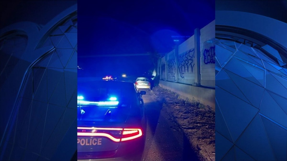 Sulma Canales Cabrera Arrested for Wrong Way Driving on I-293 – NBC Boston