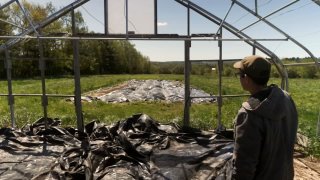 Farmer Adam Nordell looks at the remnants of his once-thriving Songbird Farm, now shut down after its soil and crops tested positive for toxic “forever chemicals.”