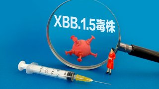 XBB.1.5 strain of Covid