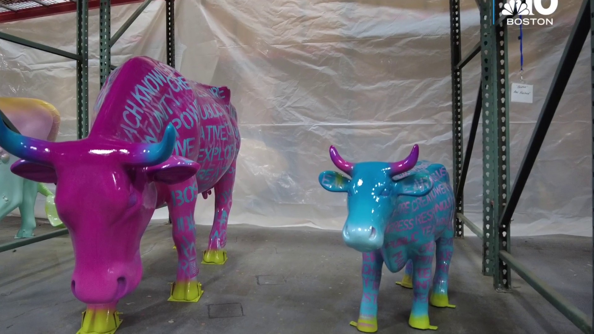The Jimmy Fund is using a cow parade to help fight cancer – NBC Boston