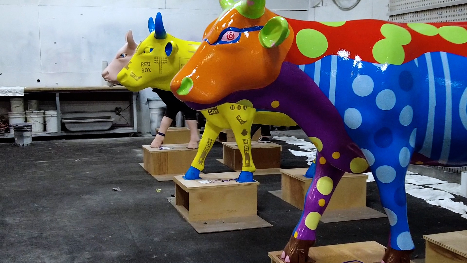 The Jimmy Fund is using a cow parade to help fight cancer – NBC Boston