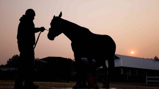 A horse is bathed at sunrise outside it’s barn prior to the 155th running of the Belmont Stakes at Belmont Park on June 08, 2023 in Elmont, New York.