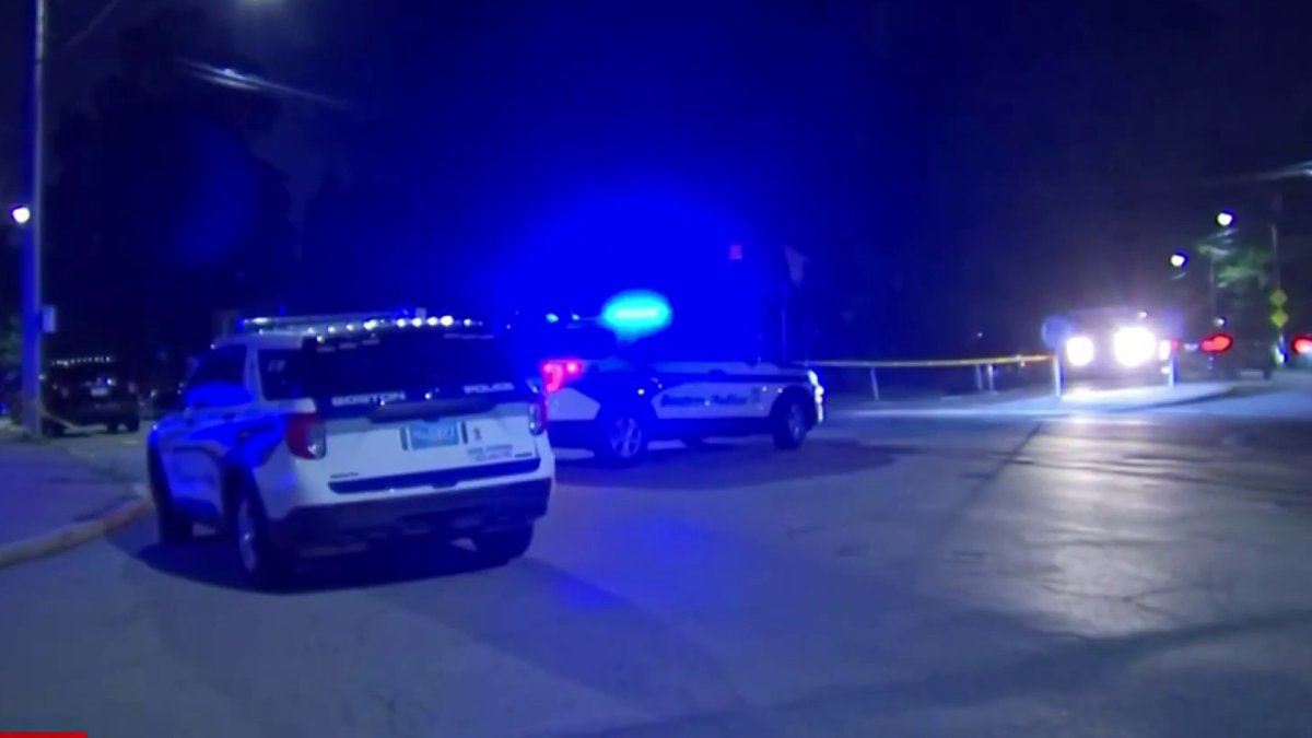 4yearold boy killed in Hyde Park hitandrun NBC Boston