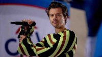 Harry Styles appears to become latest musician to be hit by an object while performing onstage