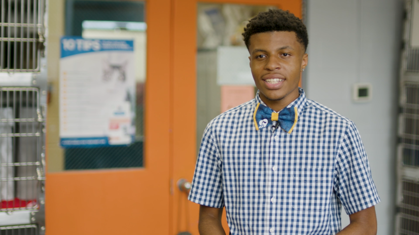 Teen raises hundreds of thousands of dollars for animal shelters creating handmade bow ties