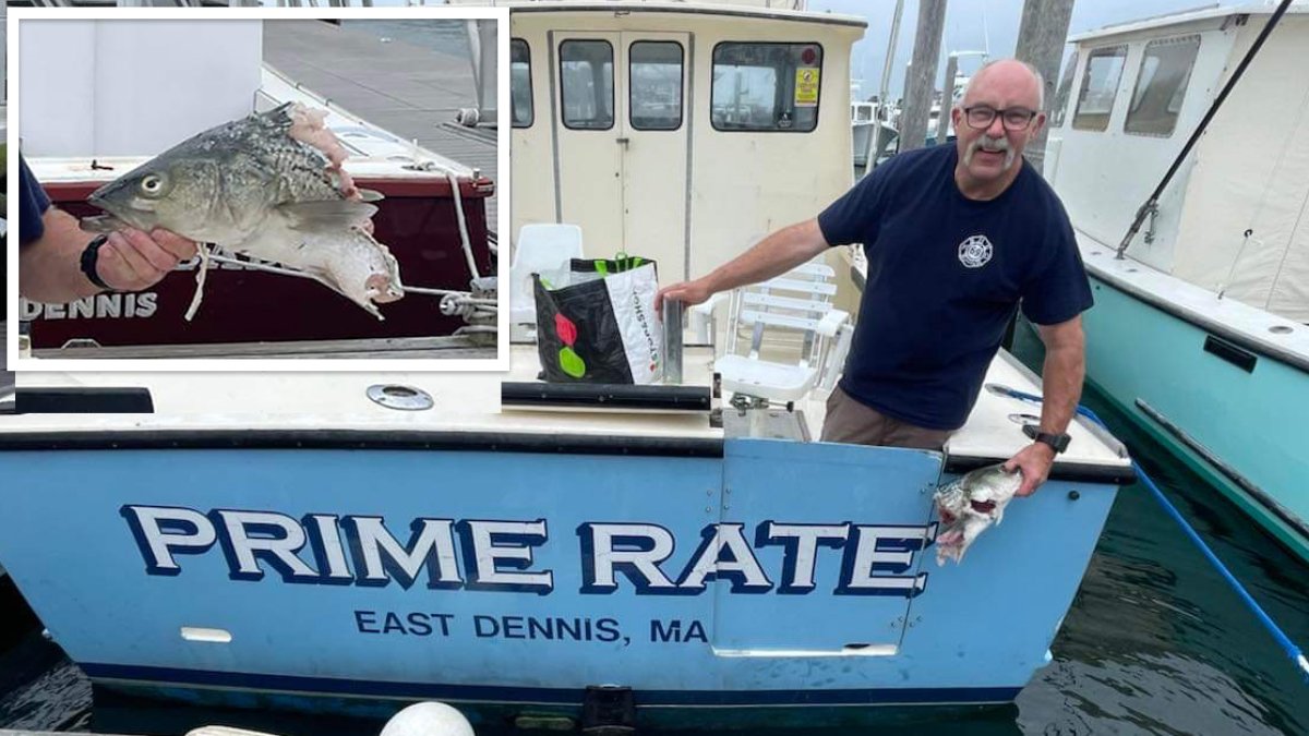 Cape Cod Fishing Report- July 20, 2023 - On The Water
