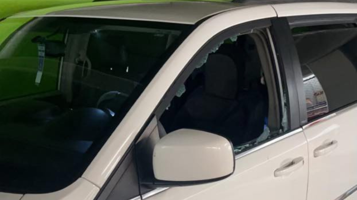 Dogs rescued from hot car in Quincy parking garage NBC Boston