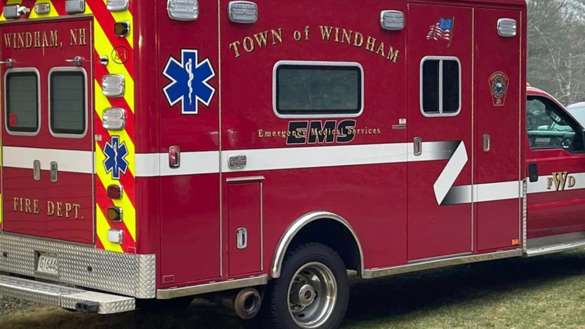 Windham NH dog attack leaves teen badly injured NBC Boston