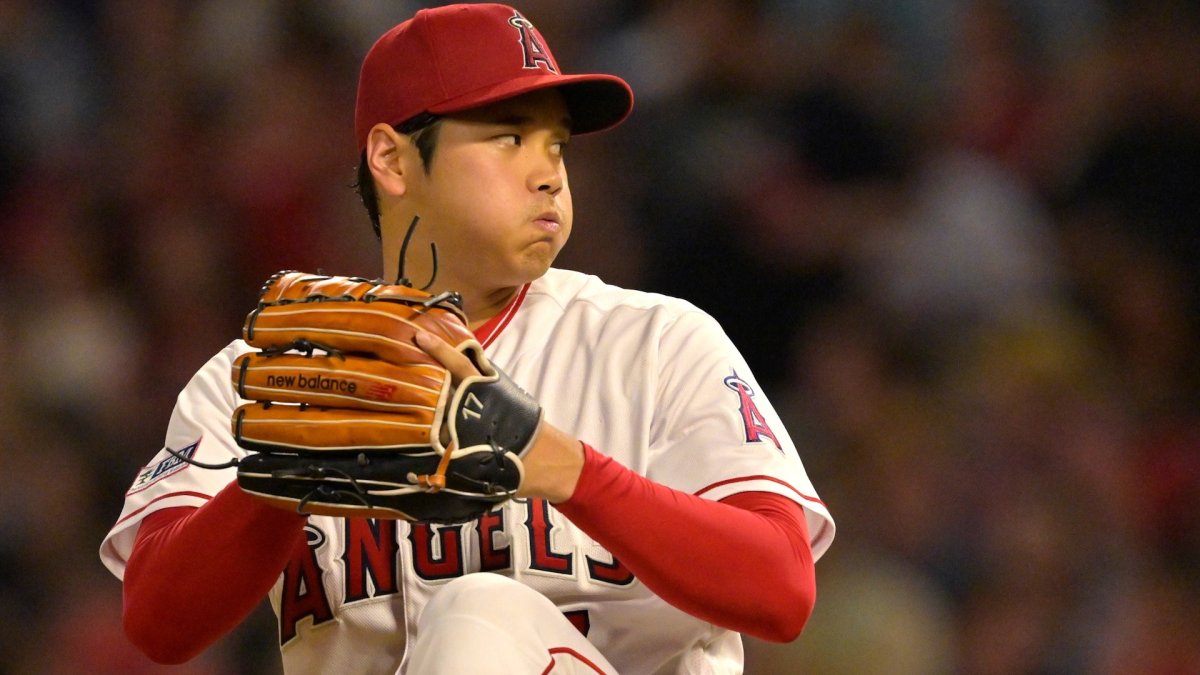 Shohei Ohtani Team Issued Batting Gloves