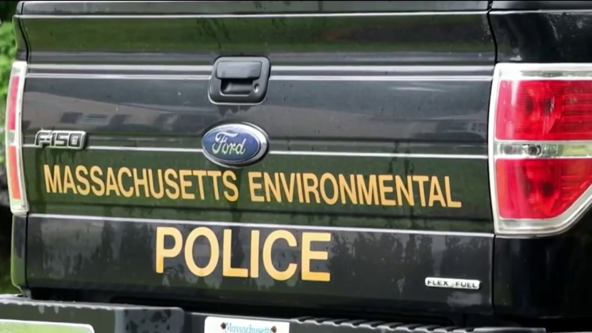 Authorities searching for bear in Kingston after it attacked a goat Authorities searching for bear in Kingston after it attacked a goat
