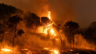 A forest on fire in the village of Dikela, near Alexandroupolis town, in the northeastern Evros region, Greece, Tuesday, Aug. 22, 2023. Firefighters scouring the area of a major wildfire in northeastern Greece have found the bodies of over 10 people thought to have been migrants who entered the country from Turkey.