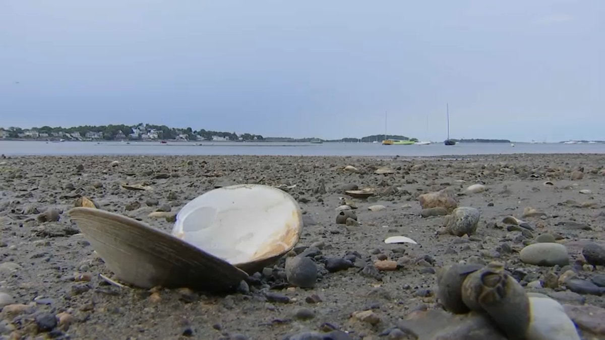 Mass. rolls out interactive dashboard for beach closures NBC Boston