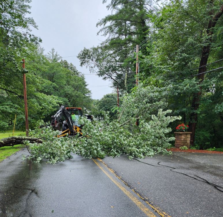 A tree came down across Wethersfield Street in Rowley, Massachusetts, on Aug. 8, 2023.