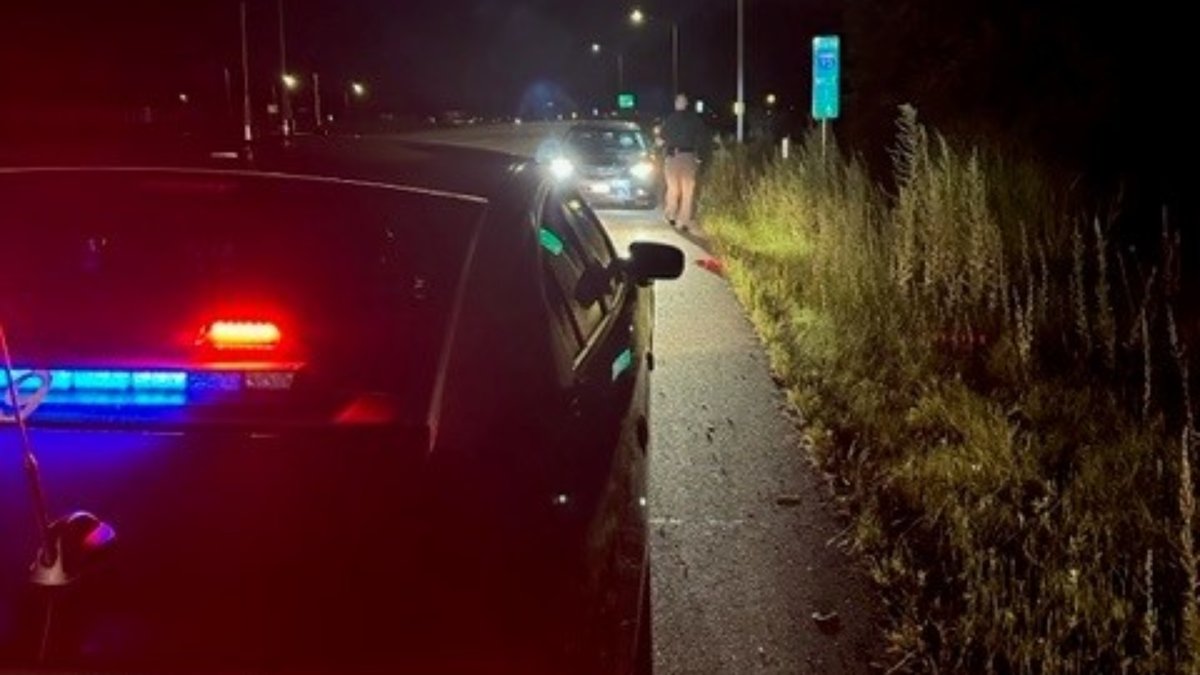 Vanessa Dubey, wrong-way driver, arrested on I-93 in NH – NBC Boston