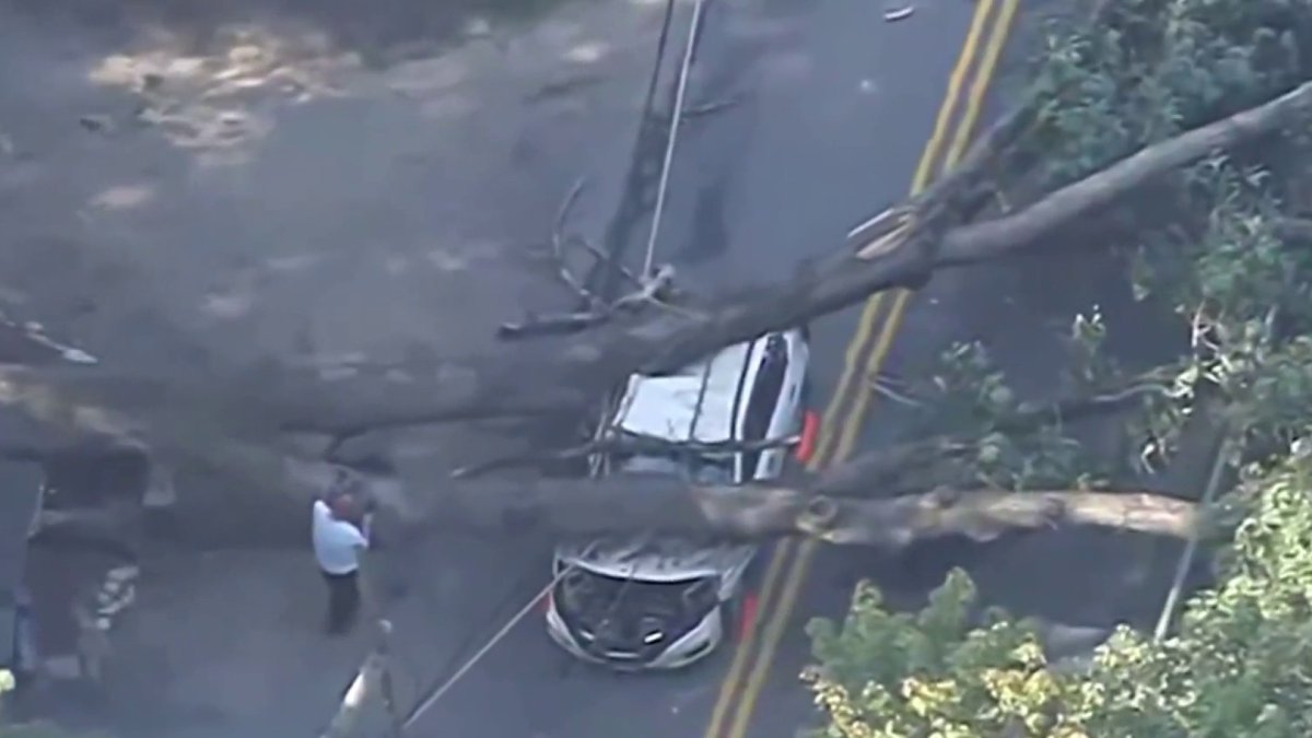 Tree crushes SUV in Douglas, MA: Neighbors say what happened – NBC Boston