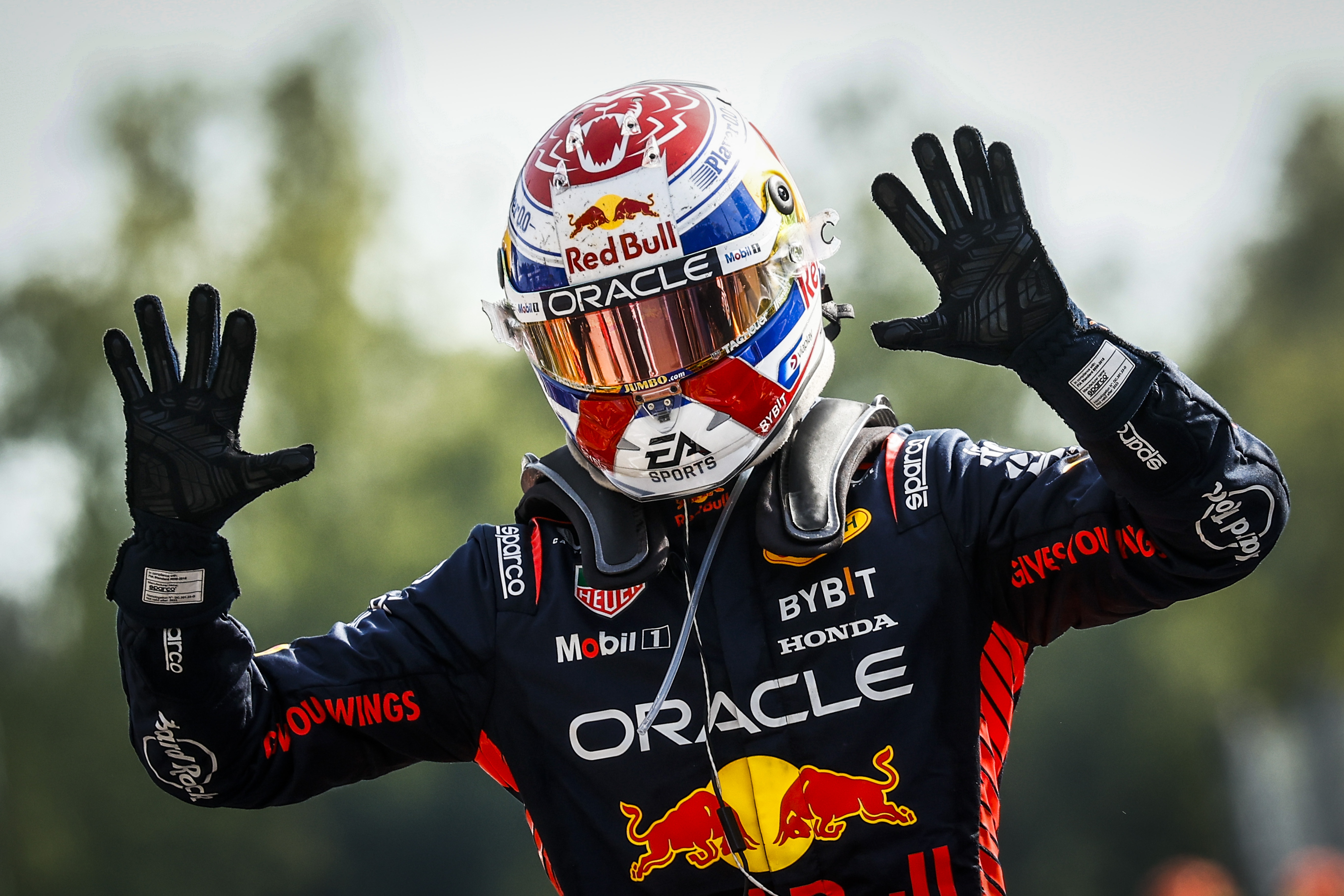 Red Bull's Verstappen to start Brazilian Grand Prix on pole position