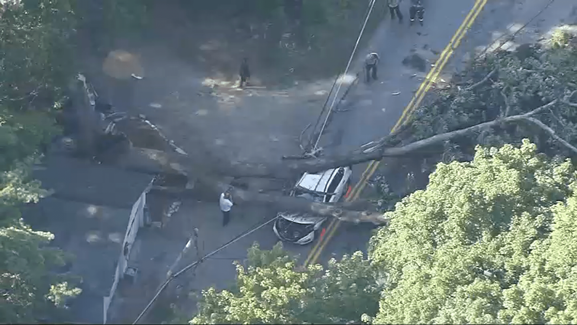 A tree fell on a vehicle in Douglas, Massachusetts, on Thursday, Sept. 7, 2023.