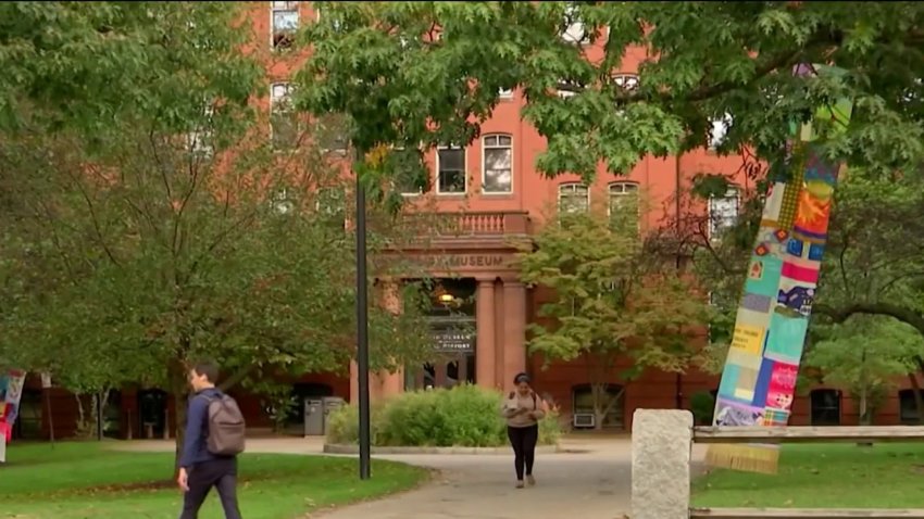 Harvard president responds to backlash over Israel war response by university-affiliated groups