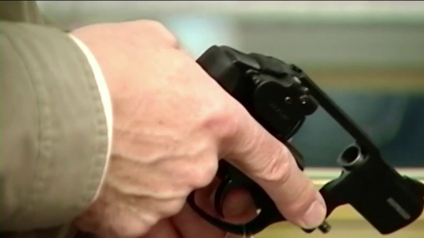 Mass. lawmakers debate gun reform bill at public forum