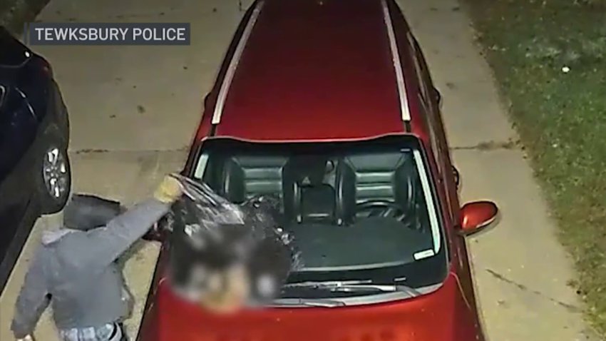 Dead raccoon left on woman's car