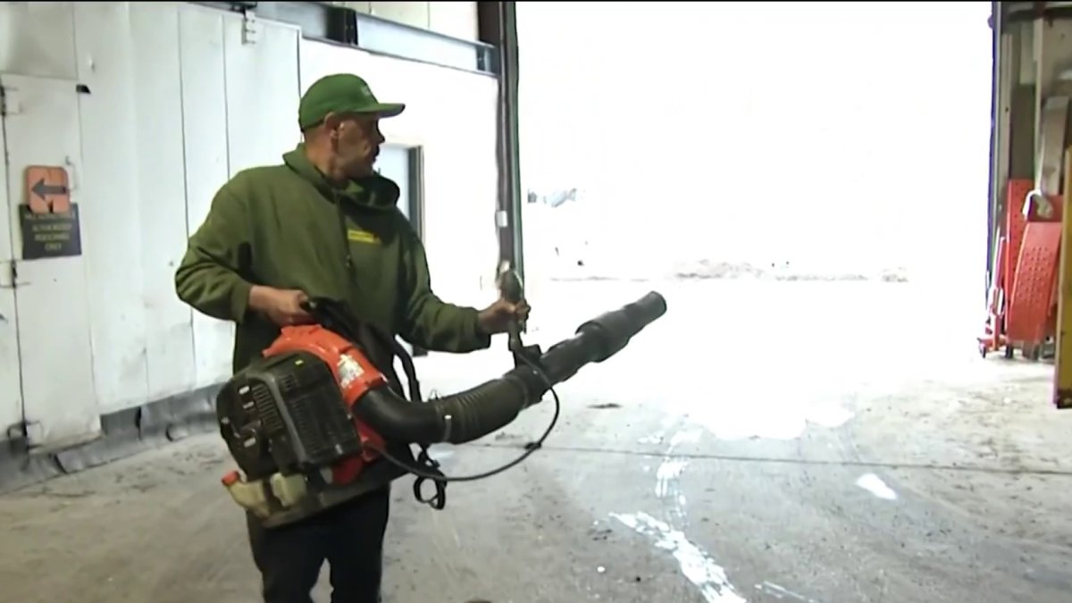 What causes more pollution cars or leaf blowers? NBC Boston