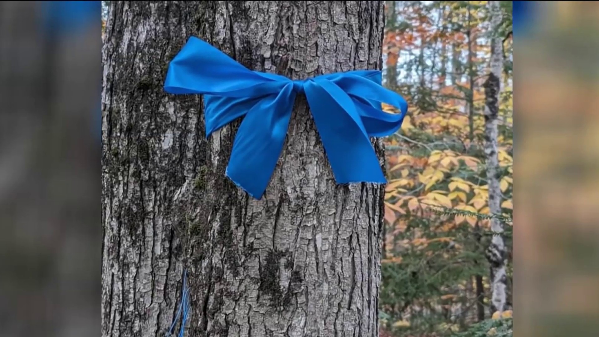 A small symbol of solidarity for the synagogue massacre trial: Blue ribbons