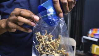 FILE – A vendor bags psilocybin mushrooms at a cannabis marketplace on May 24, 2019, in Los Angeles. California Gov. Gavin Newsom has vetoed a bill aimed at decriminalizing the possession and use of some hallucinogens, including psychedelic mushrooms. The veto, Saturday, Oct. 7, 2023, comes after the Legislature voted to make California the third state to do so. The bill would have removed criminal penalties for the possession and use of psychedelic mushrooms, mescaline and dimethyltryptamine, or DMT. It would only have applied to those older than 21 years old. (AP Photo/Richard Vogel, File)