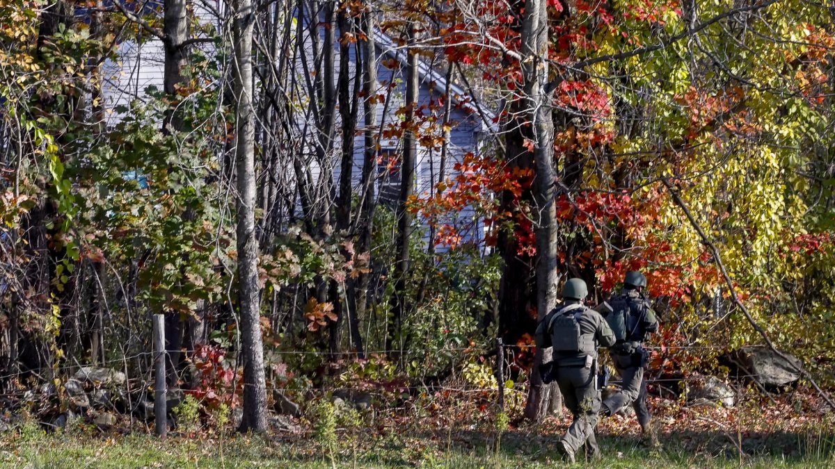 Maine deer season Hunting prohibited in Lewiston area NBC Boston