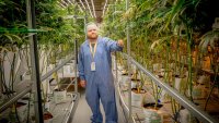 The cost of cannabis is falling. Cultivators want the state to step in