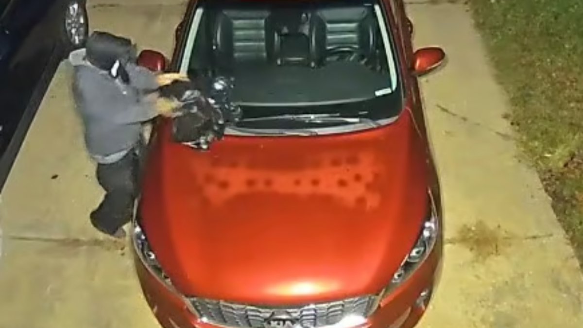 Tewksbury police investigating raccoon placed on car windshield – NBC