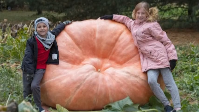 The key to growing massive pumpkins? Zoo poo