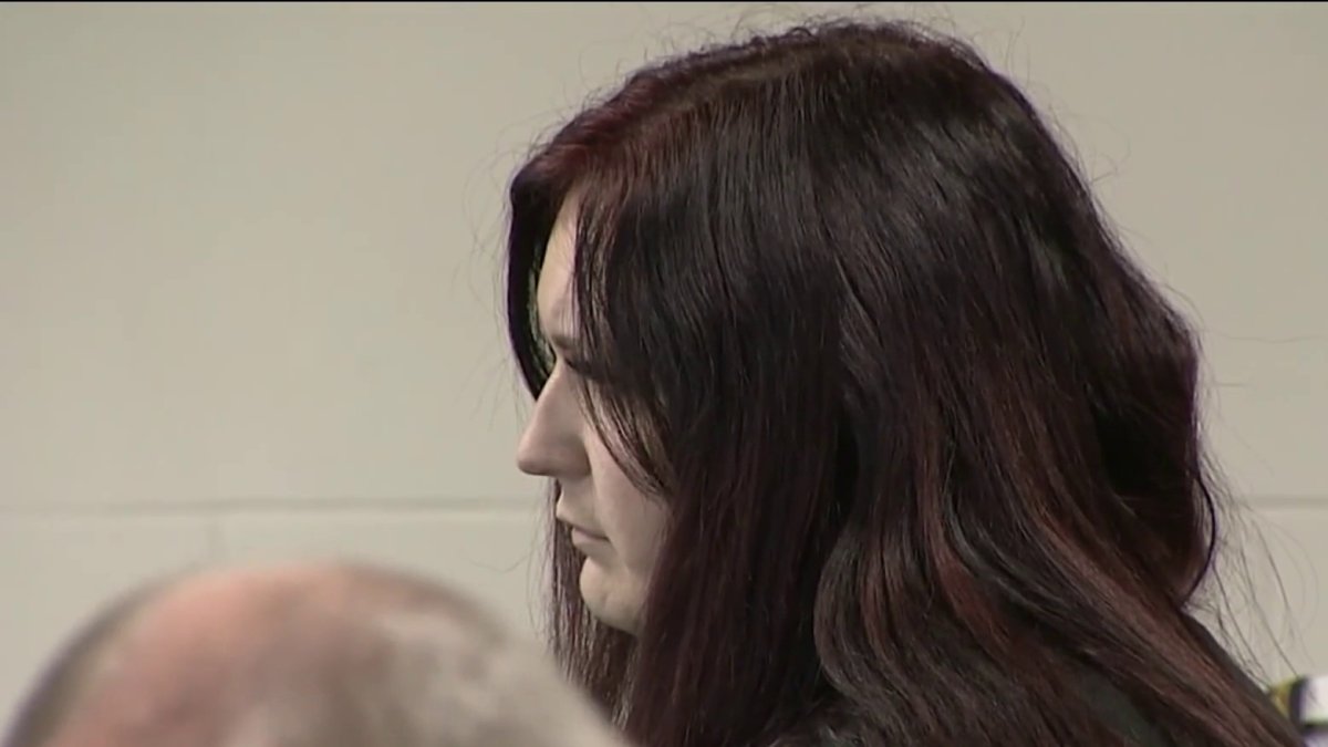 New details revealed in court in deadly Boston Common stabbing – NBC Boston