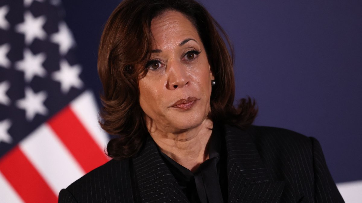 The meaning of Kamala Harris: the woman who will break new ground as  vice-president, Kamala Harris